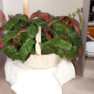 Handmade ceramic basket style planter